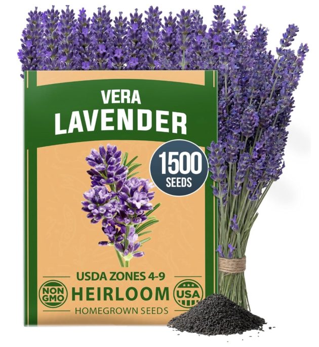 English Lavender Seeds (1,500+ Wildflower Seeds) only $5.31, plus more!