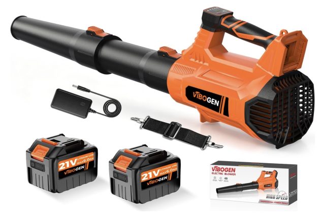 Cordless Electric Leaf Blower only $39.99 shipped (Reg. $100!)