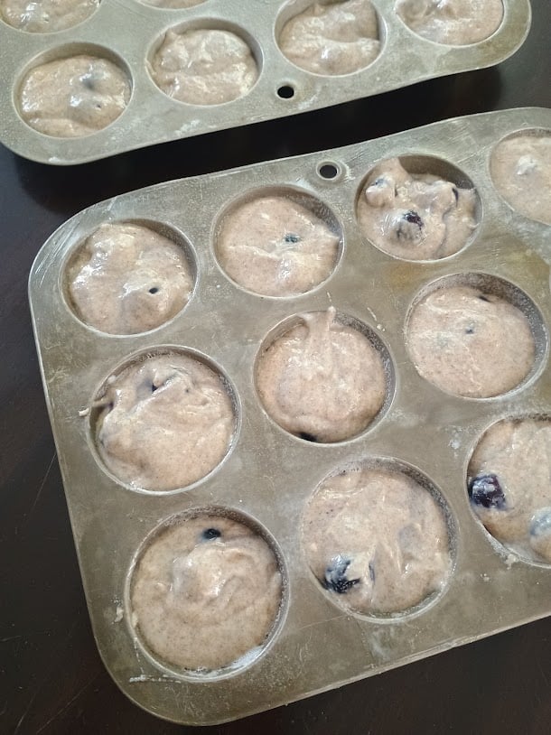 Blueberry muffin batter portioned into two metal muffin pans before baking.