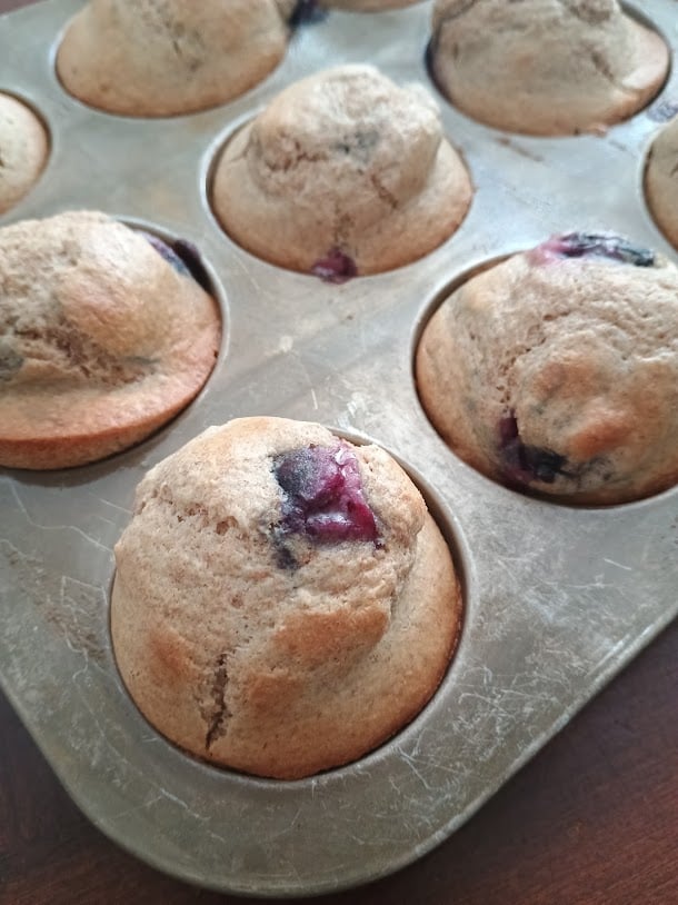 Freshly baked blueberry muffins in a metal muffin pan.