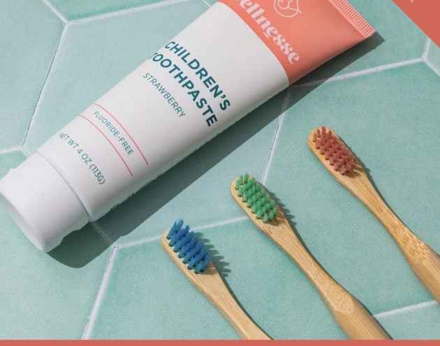 Free Wellnesse Bamboo Toothbrush