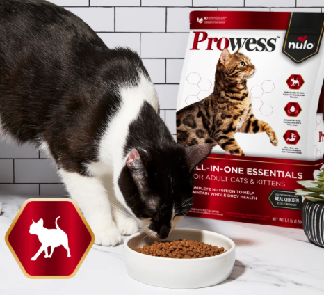 FREE Prowess nulo Cat Food Sample!